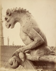 París, Notre-Dame