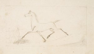 Un caballo al trote