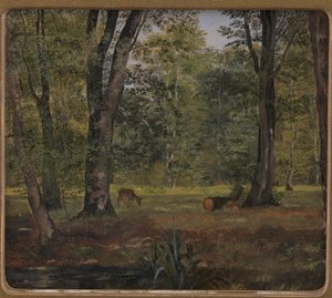 Bosque de Charlottenlund, al norte de Copenhague