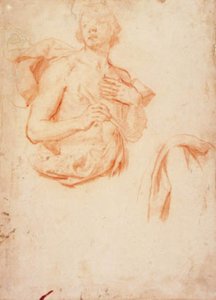 Joven, medio cuerpo con torso desnudo, y un estudio de drapeado de Lorenzo Lippi