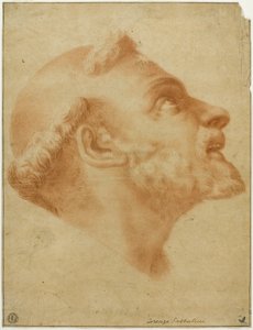 Cabeza Volteada de Santo Domingo de Lorenzo Sabbatini