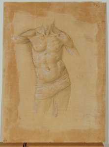Busto de hombre semidesnudo, sin cabeza ... de Lorenzo di Credi