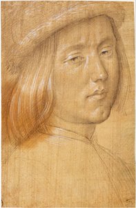 Jefe de una Juventud de Lorenzo di Credi