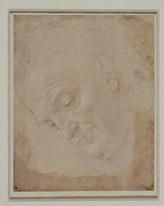 Retrato de un hombre calvo, girado tres cuartos hacia la izquierda ... de Lorenzo di Credi