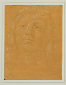 Retrato de un joven, de cara, mirando hacia arriba ... de Lorenzo di Credi