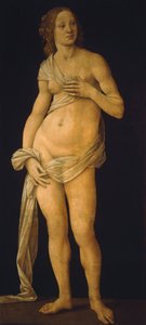 Venus de Lorenzo di Credi