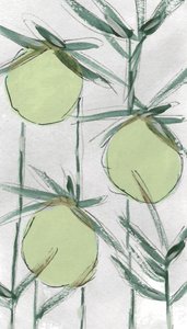  de Lori Ann Folz