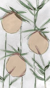 Melocotones frescos al estilo pictórico de Lori Ann Folz