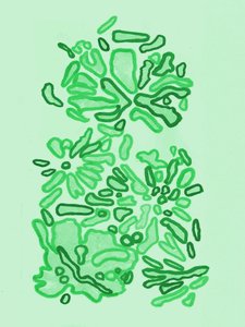Formas verdes y orgánicas de Lori Ann Folz