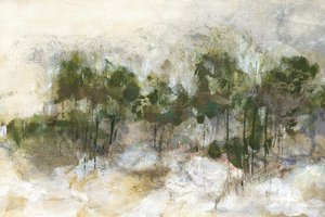 Abstracto de bosque brumoso
