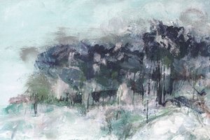 Bosque invernal brumoso