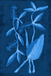 Vaina 1 Azul intenso