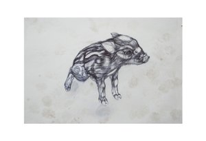 Cerdito, 2015 de Lou Gibbs