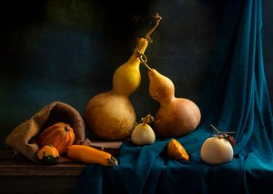 Naturaleza muerta con calabazas de otoño de Louie Luo