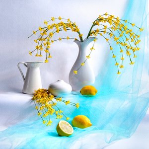 Naturaleza muerta floral en amarillo brillante de Louie Luo