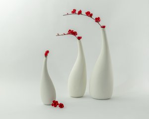 Jarrones rojos y flores de Louie Luo