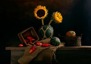 Cosecha rústica de girasoles de Louie Luo