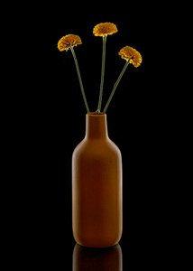 Jarrón marrón «Warm Flowers» de Louie Luo
