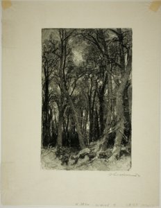 Invierno: Bas-Bréau de Louis Auguste Lepère
