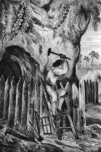 Planté diez filas de empalizadas. grabado después del dibujo de M. de Sainson para el Libro de Daniel Defoe “Robinson Crusoe” edición francesa de 1837. de Louis Auguste de Sainson