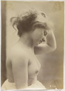 Estudio de un desnudo femenino, busto visto de perfil, con el pelo recogido de Louis Bonnard