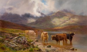 Ganado de las Tierras Altas de Louis Bosworth Hurt