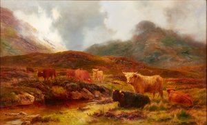 Páramo en Clachaig, Glencoe