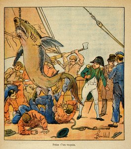 Ilustración de Bombled Louis (1862-1927) del libro “El Memorial de Santa Helena” de Conde Emmanuel de Las Cases (1766-1842): El emperador Napoleón asiste a la captura de un tiburón a bordo del Northumberland, Colección privada