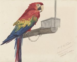 Loro de Louis Charles Bombled