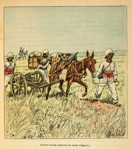 Anecdotario de la Guerra en Madagascar: Cañones Hovas llevados al campamento francés de Louis Charles Bombled