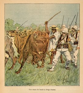 La Guerra en Madagascar-Historia Anecdótica de las Expediciones Francesas de 1885-1895 por Henri Galli, ilustrado por Louis Bombled: En Diego-Suarez, el ejército francés exige bueyes, Colección Privada de Louis Charles Bombled