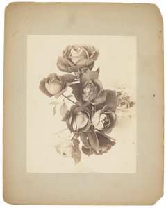 Estudios Tiffany, c.1898-1920 (fotografía b/n) de Louis Comfort Tiffany