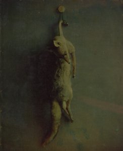 Zorro, ca. 1870