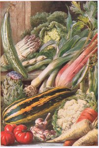 Verduras de la huerta, ilustración de 