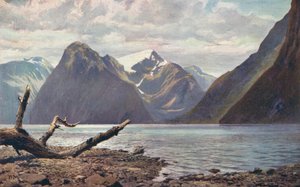 Escena en Milford Sound, Nueva Zelanda (foto en color)