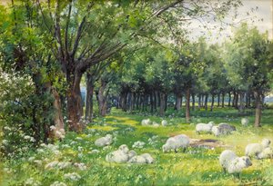 Ovejas en un huerto en primavera