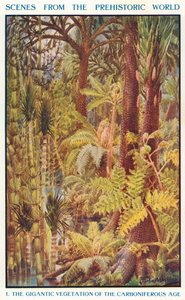 La gigantesca vegetación del Carbonífero (litografía en color) de Louis Fairfax Muckley