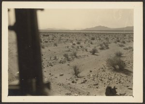 [Plantas del desierto de Amargosa]