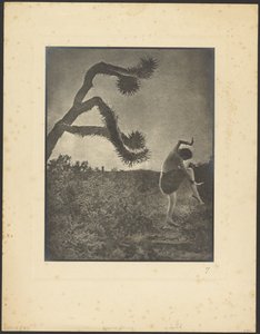  de Louis Fleckenstein