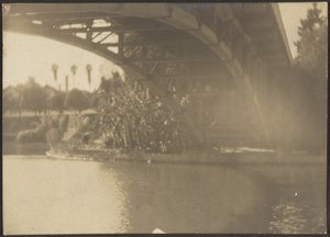 [Puente sobre el río] de Louis Fleckenstein