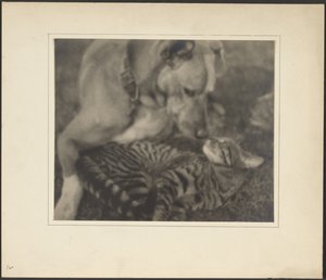  de Louis Fleckenstein