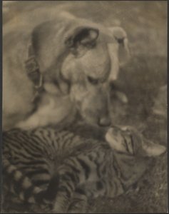  de Louis Fleckenstein