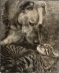  de Louis Fleckenstein