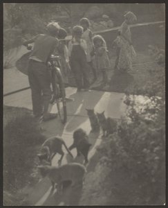 [Niños y gatos] de Louis Fleckenstein