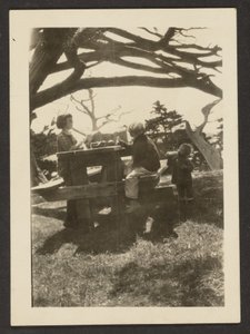 [Niños en una mesa de picnic]