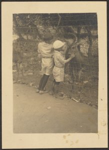 [Niños junto a una valla con ciervos] de Louis Fleckenstein