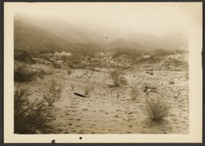 [Coyote Canyon] de Louis Fleckenstein