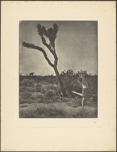  de Louis Fleckenstein