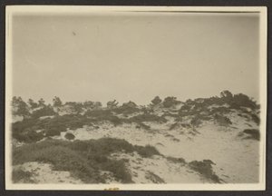 [Dunas] de Louis Fleckenstein