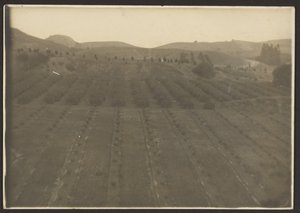[Paisaje agrícola] de Louis Fleckenstein